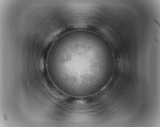 X0000100850692200806201214