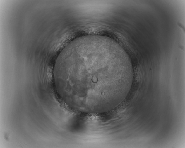 X0000100850695200806201214