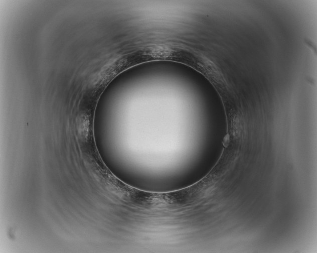 X0000100850697200806201214