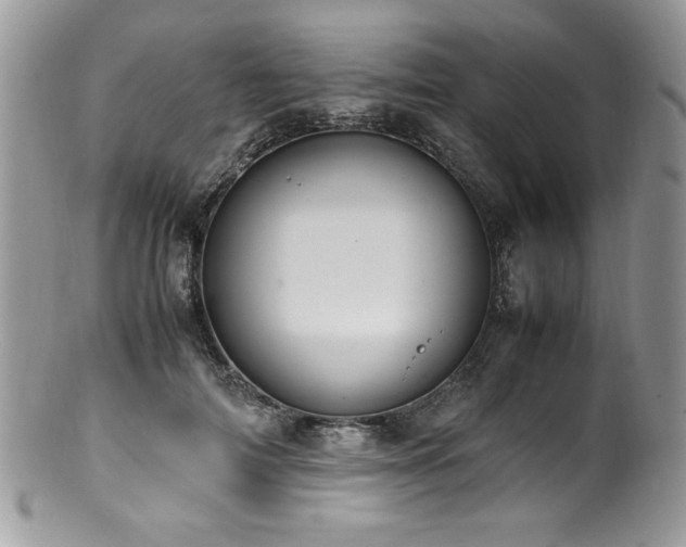 X0000100850698200806201214