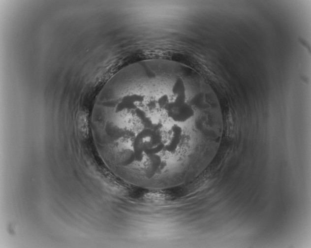 X0000100850699200806201214