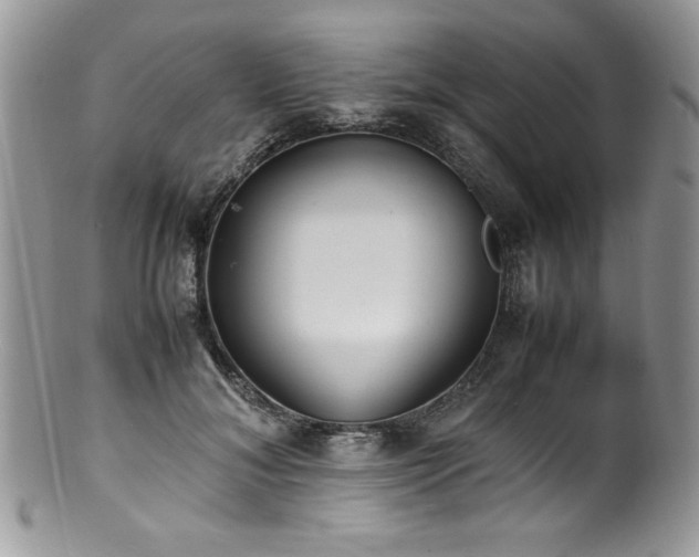 X0000100850700200806201214