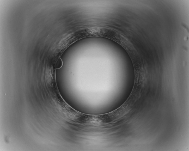 X0000100850702200806201214