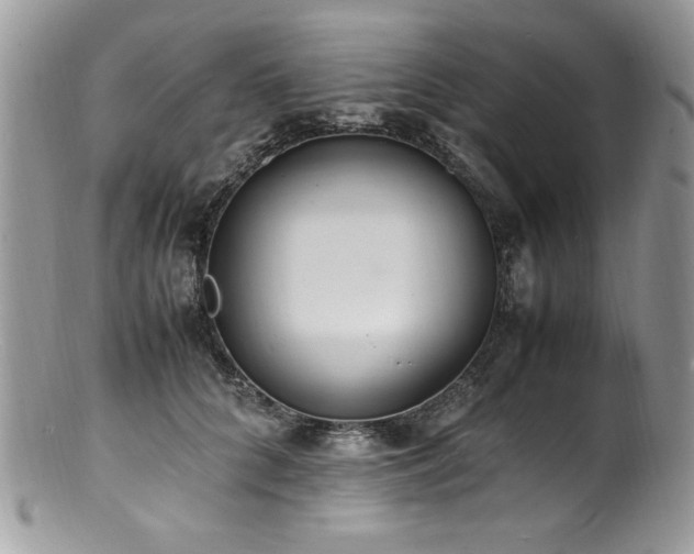 X0000100850704200806201214