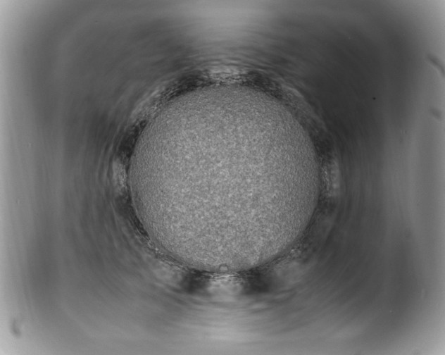 X0000100850705200806201214