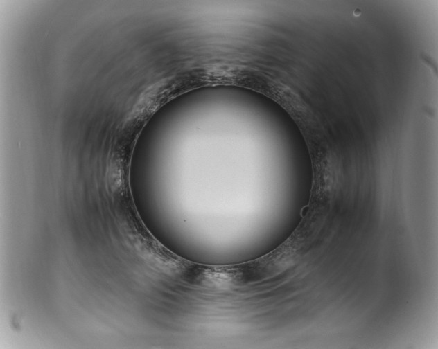 X0000100850706200806201214