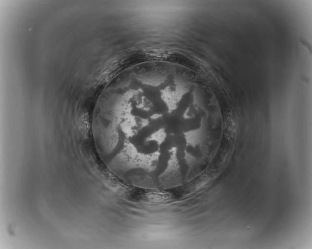 X0000100850707200806201214