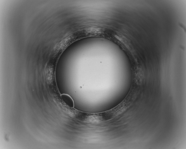 X0000100850708200806201214