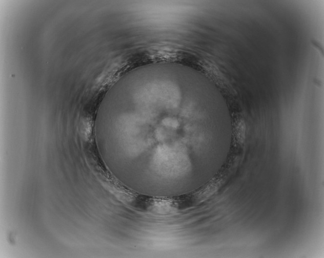 X0000100850709200806201214