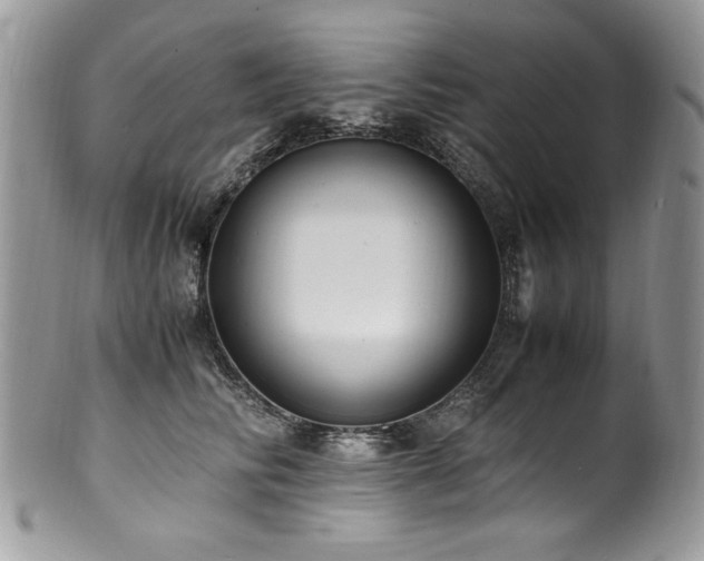 X0000100850710200806201214