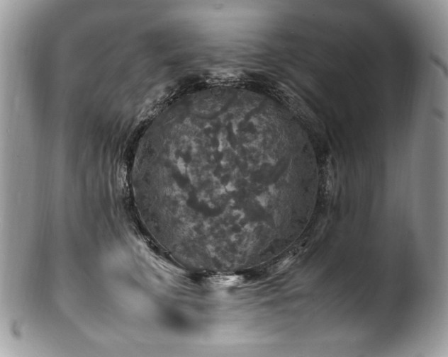 X0000100850711200806201214