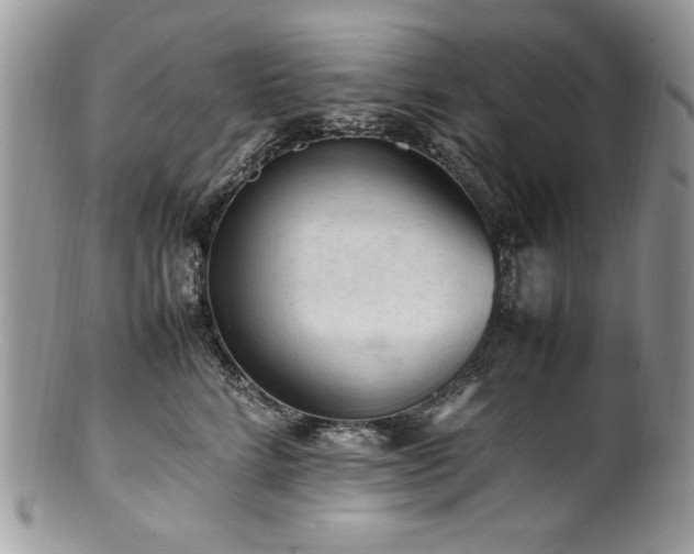 X0000100850712200806201214