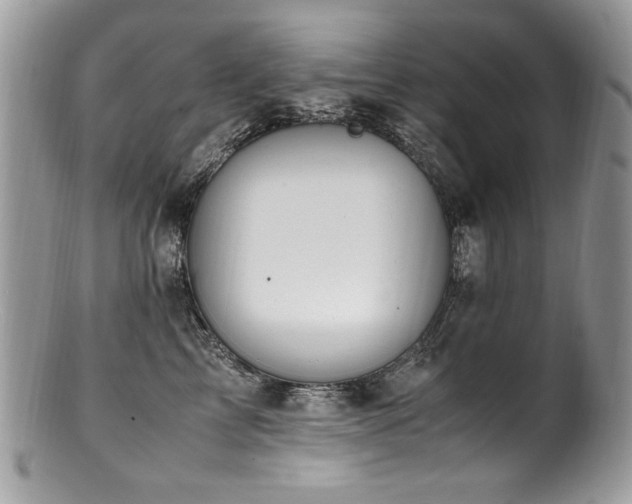 X0000100850713200806201214