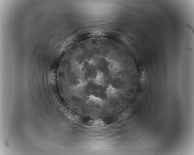 X0000100850715200806201214