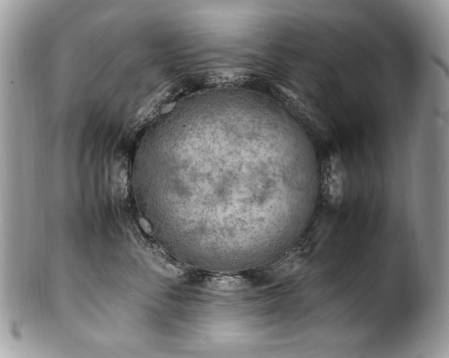 X0000100850716200806201214