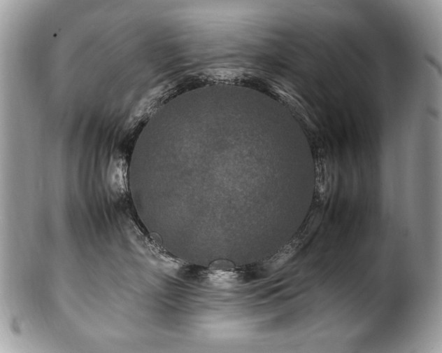 X0000100850718200806201214