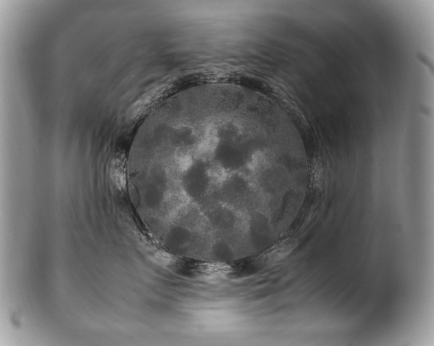 X0000100850719200806201214