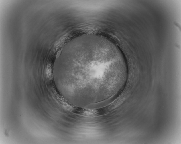 X0000100850720200806201214