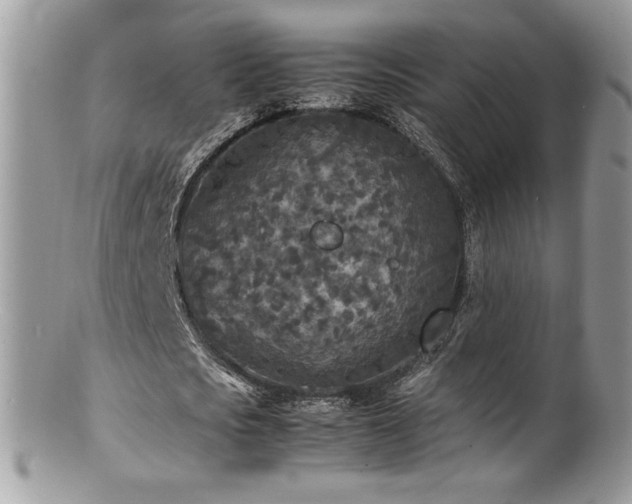 X0000100850721200806201213