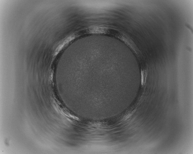 X0000100850723200806201213