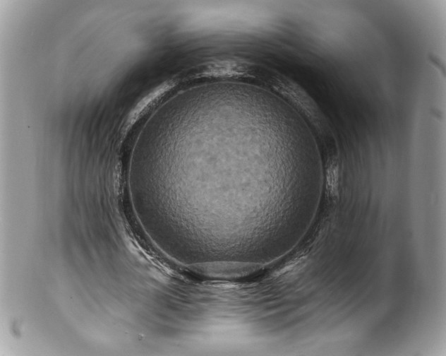 X0000100850724200806201213
