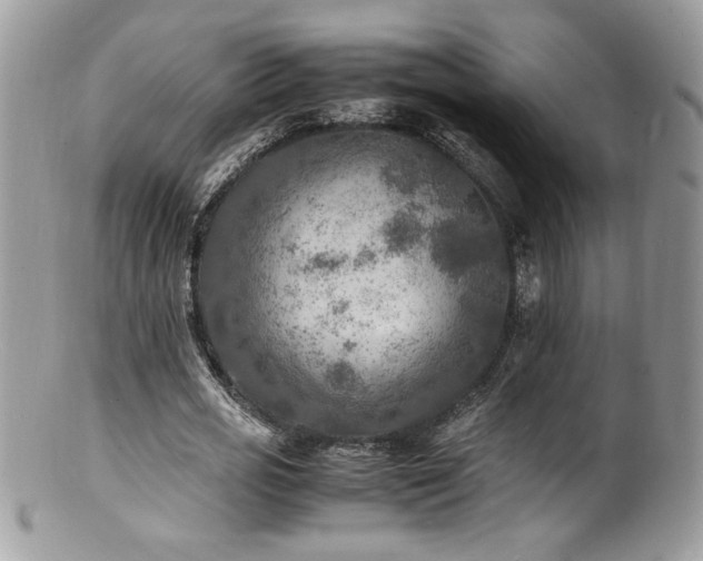 X0000100850725200806201213