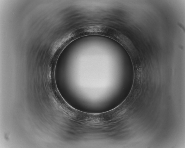 X0000100850727200806201213
