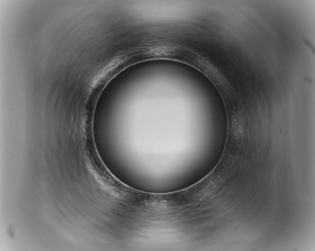 X0000100850730200806201213