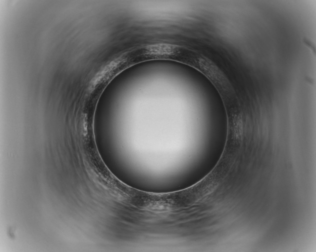 X0000100850731200806201213