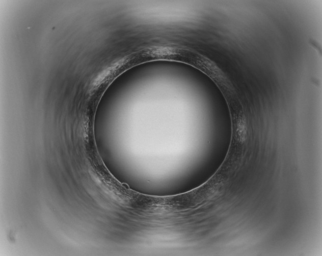 X0000100850732200806201213