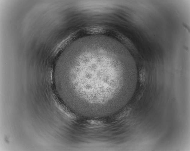 X0000100850733200806201213