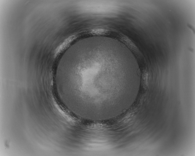 X0000100850734200806201213