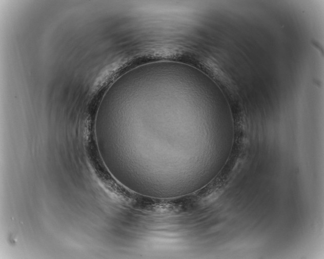 X0000100850736200806201213
