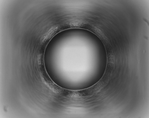 X0000100850738200806201213