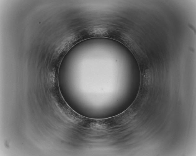 X0000100850739200806201213