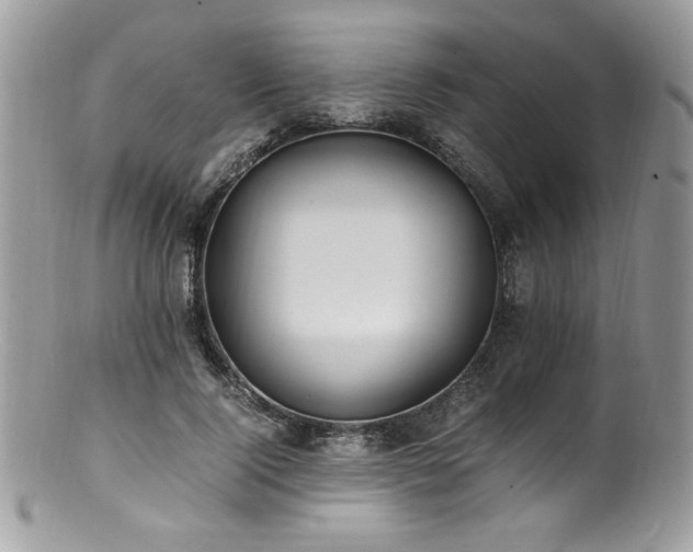 X0000100850740200806201213