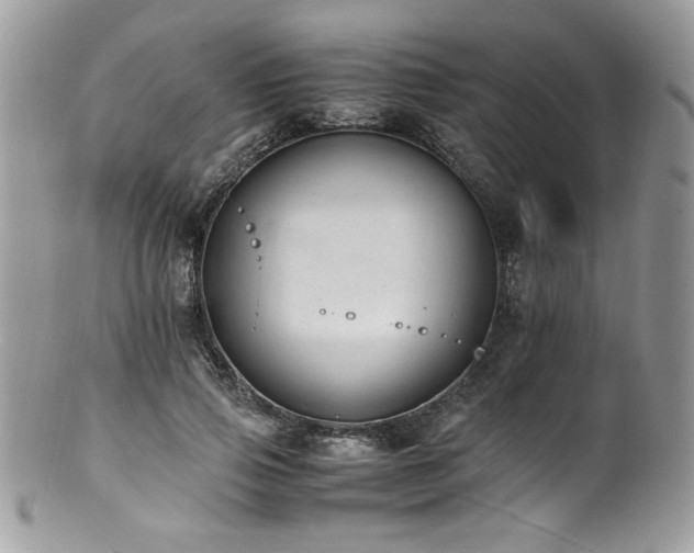 X0000100850741200806201213