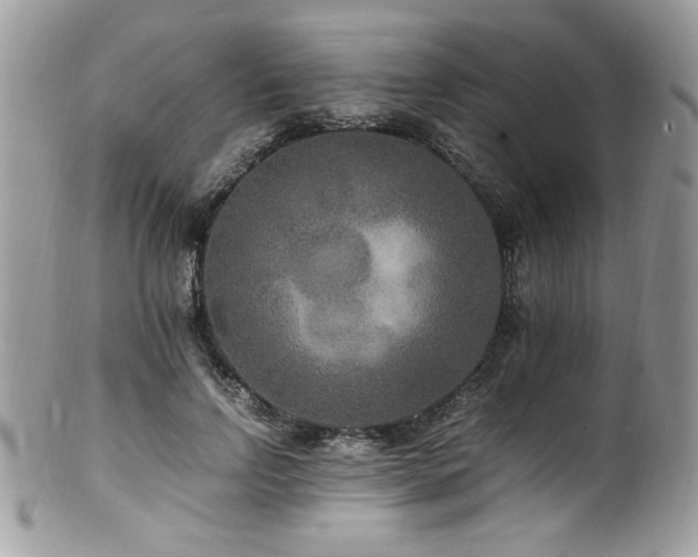 X0000100850742200806201213