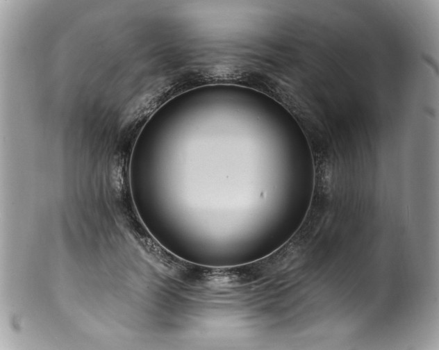 X0000100850746200806201214