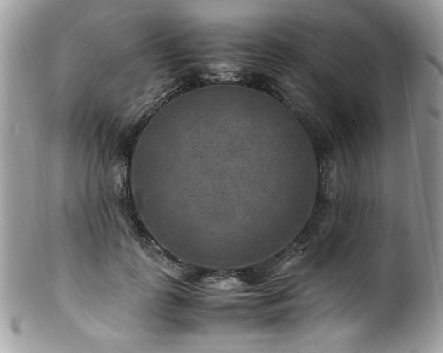 X0000100850747200806201214
