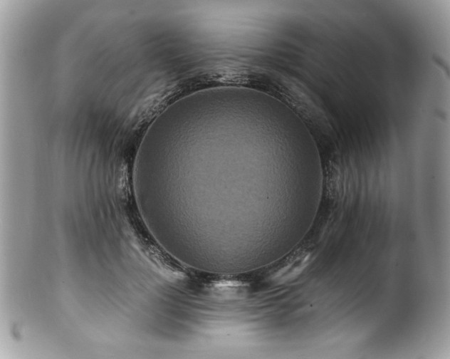 X0000100850748200806201214
