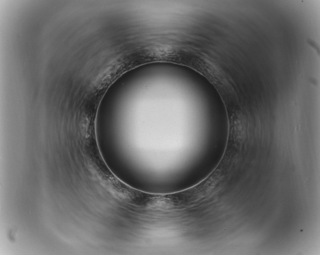 X0000100850750200806201214