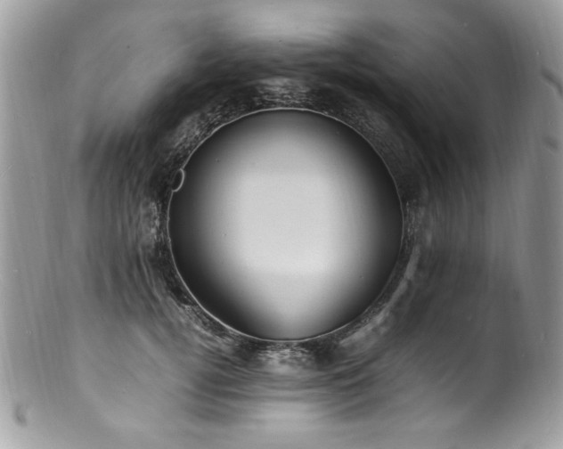 X0000100850752200806201214