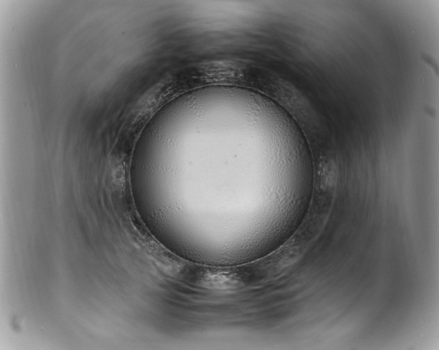 X0000100850753200806201214