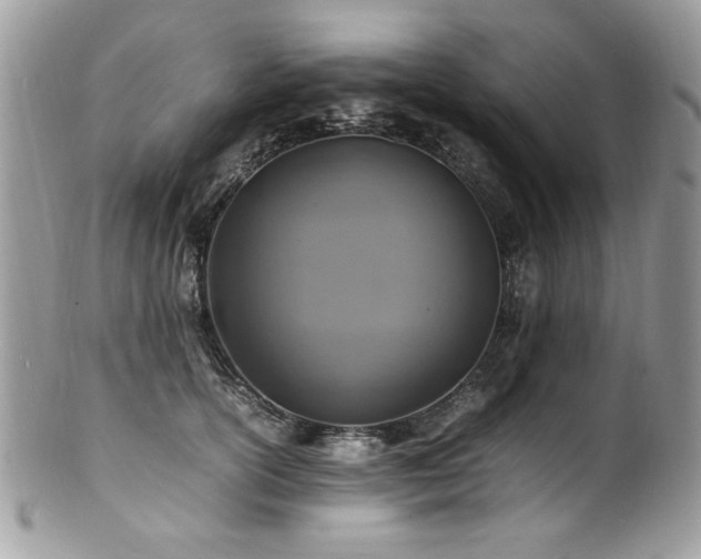 X0000100850754200806201214