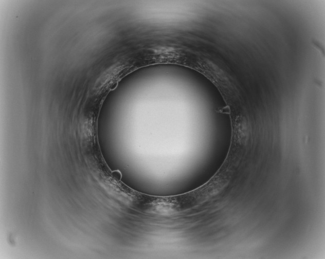 X0000100850756200806201214