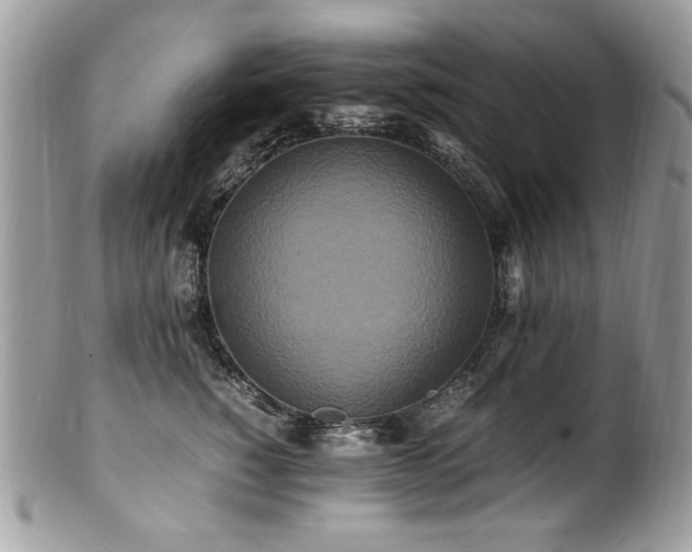 X0000100850760200806201214