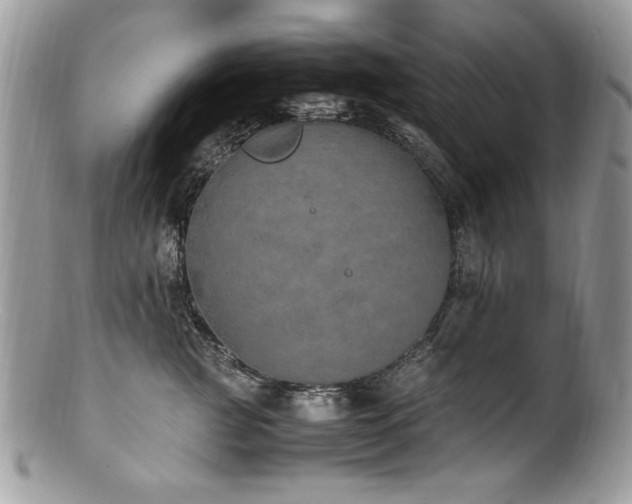 X0000100850761200806201214