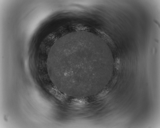 X0000100850763200806201214