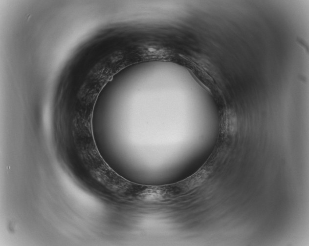 X0000100850764200806201214